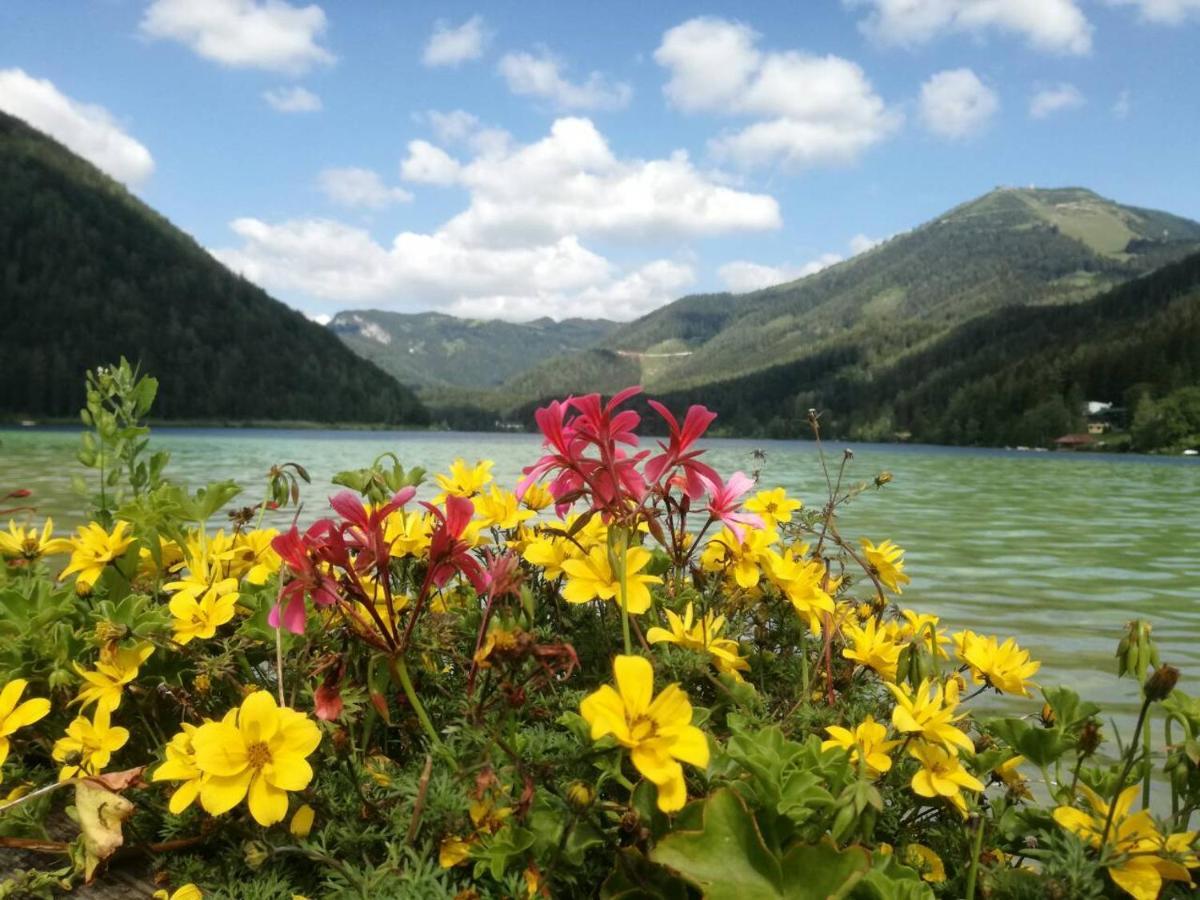 Apartment Mariazell Bürgeralpe Dış mekan fotoğraf