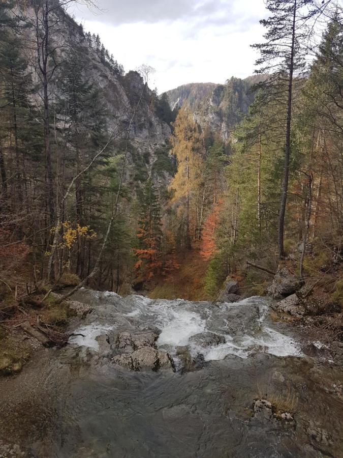 Apartment Mariazell Bürgeralpe Dış mekan fotoğraf