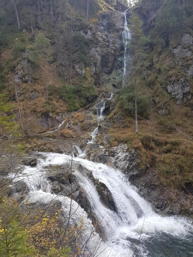 Apartment Mariazell Bürgeralpe Dış mekan fotoğraf